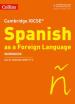Cambridge IGCSE¿ Spanish Workbook