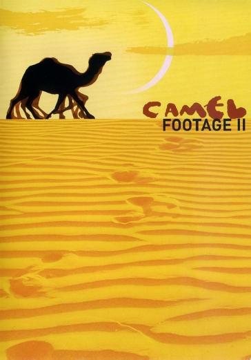 Camel footage 2 - Camel