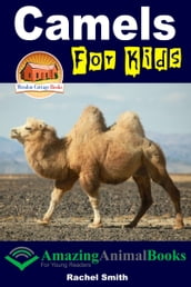 Camels For Kids