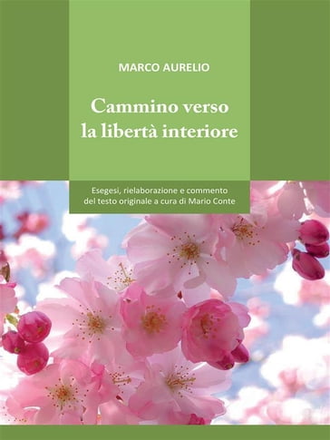 Cammino verso la libertà interiore - Marco Aurelio