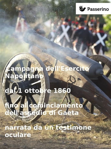 Campagna dell'Esercito Napolitano dal 1 ottobre 1860 fino al cominciamento dell'assedio di Gaeta narrata da un testimone oculare - Anonimo