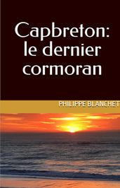 Capbreton: le dernier cormoran