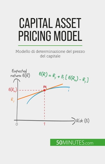 Capital Asset Pricing Model - Ariane de Saeger