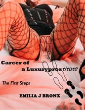 Carreer of a Luxuryprostitute First Steps