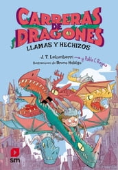 Carreras de dragones