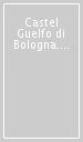 Castel Guelfo di Bologna. Dal Medioevo al Novecento