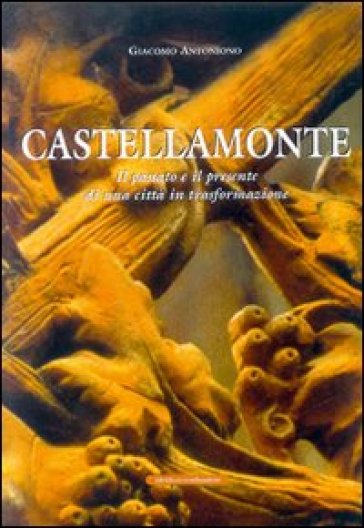 Castellamonte. Il passato e il presente di una città in trasformazione - Giacomo Antoniono