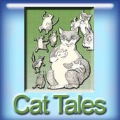 Cat Tales