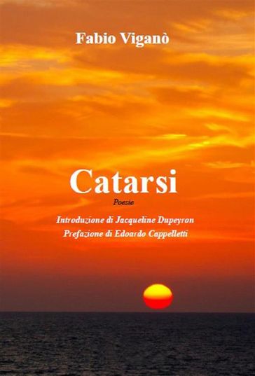 Catarsi - Fabio Viganò