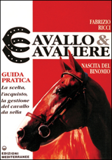 Cavallo e cavaliere - Fabrizio Ricci