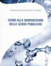 Cenni alla giurisdizione delle acque pubbliche