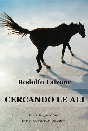 Cercando le ali - Rodolfo Falzone