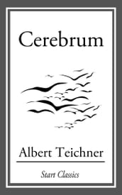 Cerebrum