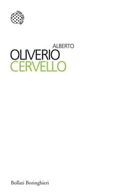 Cervello