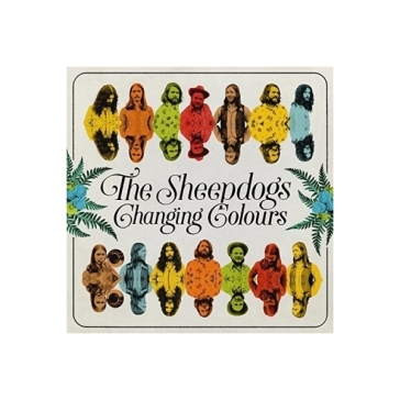 Changing colours - SHEEPDOGS