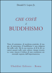 Che cos è il Buddhismo