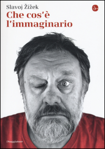 Che cos'è l'immaginario - Slavoj Zizek