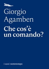 Che cos è un comando?