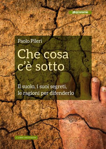 Che cosa c'è sotto - Paolo Pileri