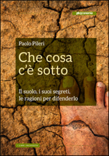 Che cosa c'è sotto. Il suolo, i suoi segreti, le ragioni per difenderlo - Paolo Pileri - Gianni Biondillo