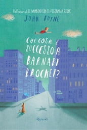 Che cosa è successo a Barnaby Brocket?