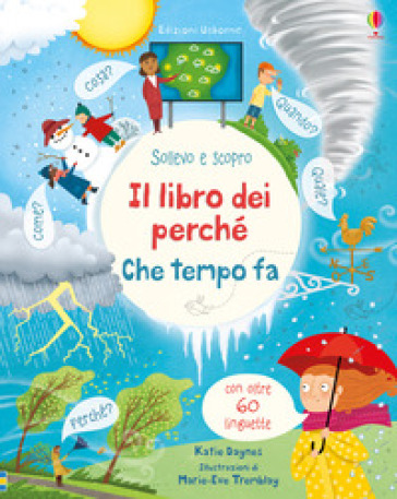 Che tempo fa? Il libro dei perché. Ediz. a colori - Katie Daynes