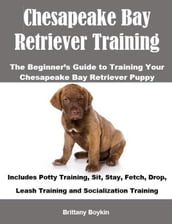 Chesapeake Bay Retriever Training: The Beginner s Guide to Training Your Chesapeake Bay Retriever Puppy: Includes Potty Training, Sit, Stay, Fetch, Drop, Leash Training and Socialization Training