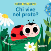 Chi vive nel prato? Scorri, tira e scopri. Ediz. a colori