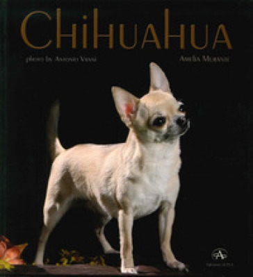 Chihuahua - Amelia Murante