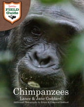 Chimpanzees