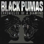 Chronicles of a diamond (deluxe edt. lim