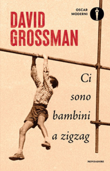 Ci sono bambini a zigzag - David Grossman