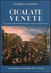 Cicalate venete. Feste, giochi e tradizioni della Serenissima nei dipinti degli antichi maestri