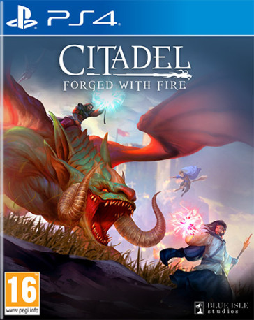 Citadel: Forged With Fire