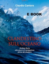 Clandestino nell Oceano