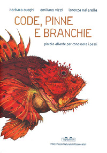 Code, pinne e branchie. Piccolo atlante per conoscere i pesci - Barbara Cuoghi - Emiliano Vizzi