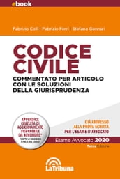 Codice civile commentato per articolo con le soluzioni della giurisprudenza