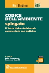 Codice dell ambiente spiegato