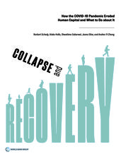 Collapse and Recovery