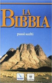 Colori del cielo. Testo di IRC. Con la Bibbia. Passi scelti. Per la Scuola media. Con espansione online. Vol. 1: L