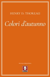 Colori d autunno