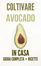 Coltivare Avocado in Casa Guida Completa con Ricette