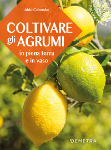 Coltivare gli agrumi in piena terra e in vaso - Aldo Colombo