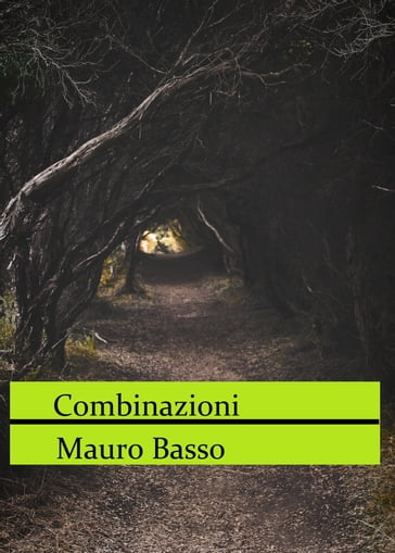 Combinazioni - Mauro Basso