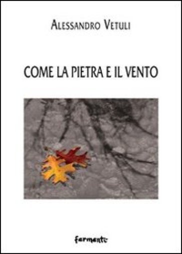 Come la pietra e il vento - Alessandro Vetuli
