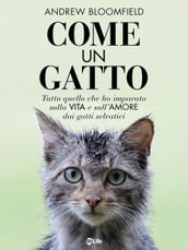 Come un Gatto