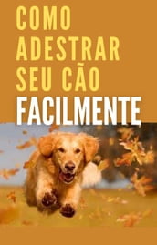 Como Adestrar seu cão facilmente