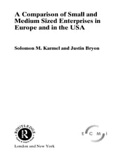 Comparison of Small and Medium Sized Enterprises in Europe and in the USA