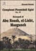 Complessi piramidali egizi. 4: Necropoli di Abu Roash, El-Lisht, Mazguneh