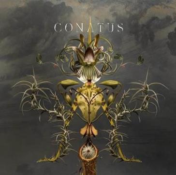 Conatus (ltd. ed.) - JOEP BEVING